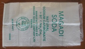 PE Ez Open Bags mai